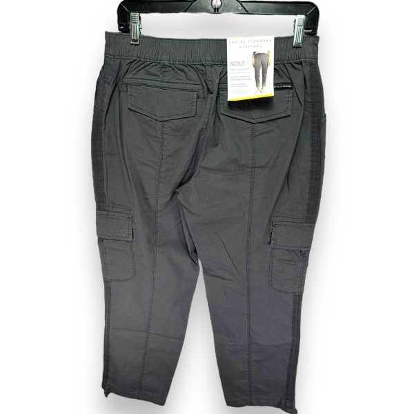 Athletic Pants By Eddie Bauer In Grey, Size: M Cheap