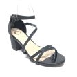 Black Sandals Heels Block Journee, Size 7 Fashion